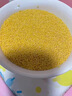 京喜自营 山西黄小米 油小米五谷杂粮月子米杂粮山西特产当季新米 【活动】山西黄小米250g 实拍图