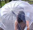英玛仕透明长柄雨伞大号双人网红日系高颜值街拍神器 16骨大号 实拍图