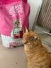 迪尤克（DIYOUKE） 猫粮 幼猫猫粮成猫美短全价牛肉味猫粮10kg20斤 实拍图