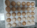 京鲜生 无抗保洁鲜鸡蛋30枚/盒 健康轻食 礼盒送礼 1.5kg/盒 源头直发 实拍图