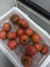 顺丰丹东草莓柿子5斤西红柿新鲜自然熟铁皮柿子碱地生吃水果番茄 5斤 超值装  顺丰 实拍图