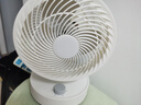 康佳（KONKA）空气循环扇家用风扇台式电风扇轻音节能涡轮对流换气扇摇头电扇交流定频小风扇空调伴侣KF-XH2012S 实拍图
