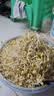 东北东升1号小粒黄豆发芽豆生长黄豆芽豆子纳豆非转基因豆高蛋白 东升1号小粒芽豆1000g*1袋 实拍图