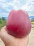 京鲜生 甘肃天水花牛苹果 又大又红 6粒尝鲜装 单果160-190g 生鲜水果 实拍图