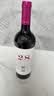 西鸽酒庄N28干红葡萄酒套组礼盒750ml*2 贺兰山东麓宁夏红酒微醺喜宴送礼 实拍图