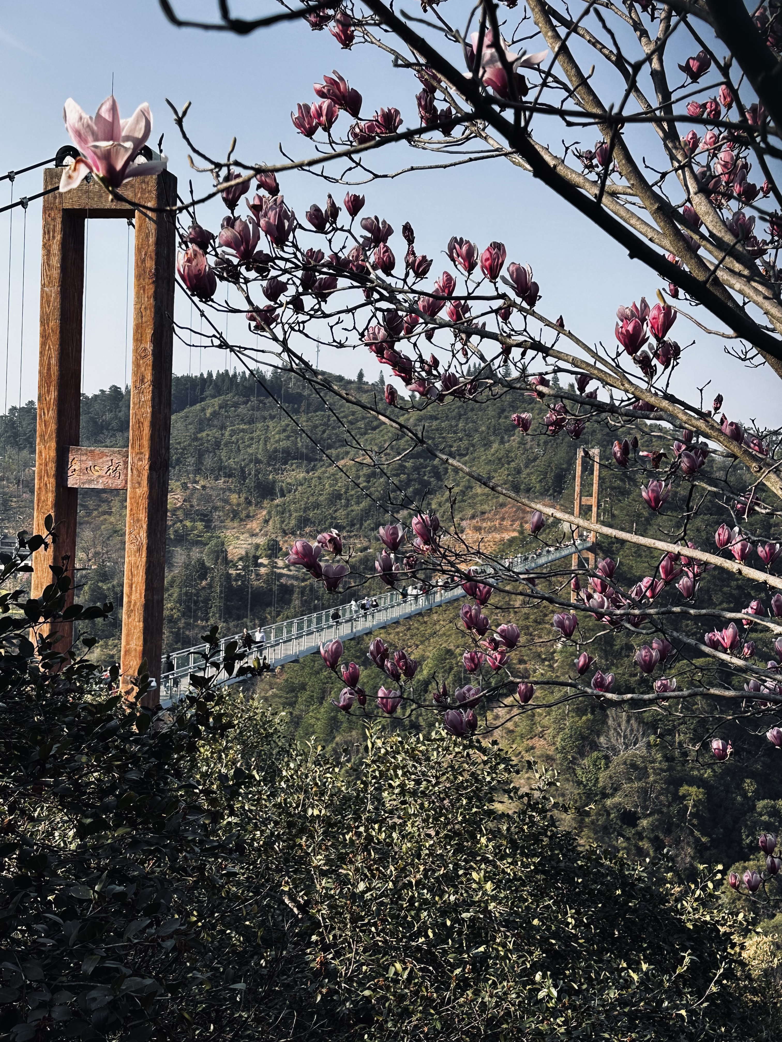 来一客鲜花速递玫瑰百合鲜花送老师女友表白生日礼物全国同城配送 19朵白玫瑰白百合花束 实拍图