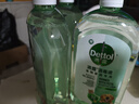 滴露（Dettol）自然香氛消毒液洗衣持久留香 衣物玩具杀菌 除臭宠物用品消毒水 【宠物专用消毒液】杀菌除臭1L*3 实拍图