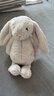 Jellycat害羞乳白色邦尼兔动物毛绒玩偶安抚玩偶娃娃送礼生日礼物 害羞银色邦尼兔 Medium 实拍图