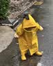 Lemonkid儿童雨衣连体男女童防水全身中小童幼儿园小孩卡通雨披 实拍图