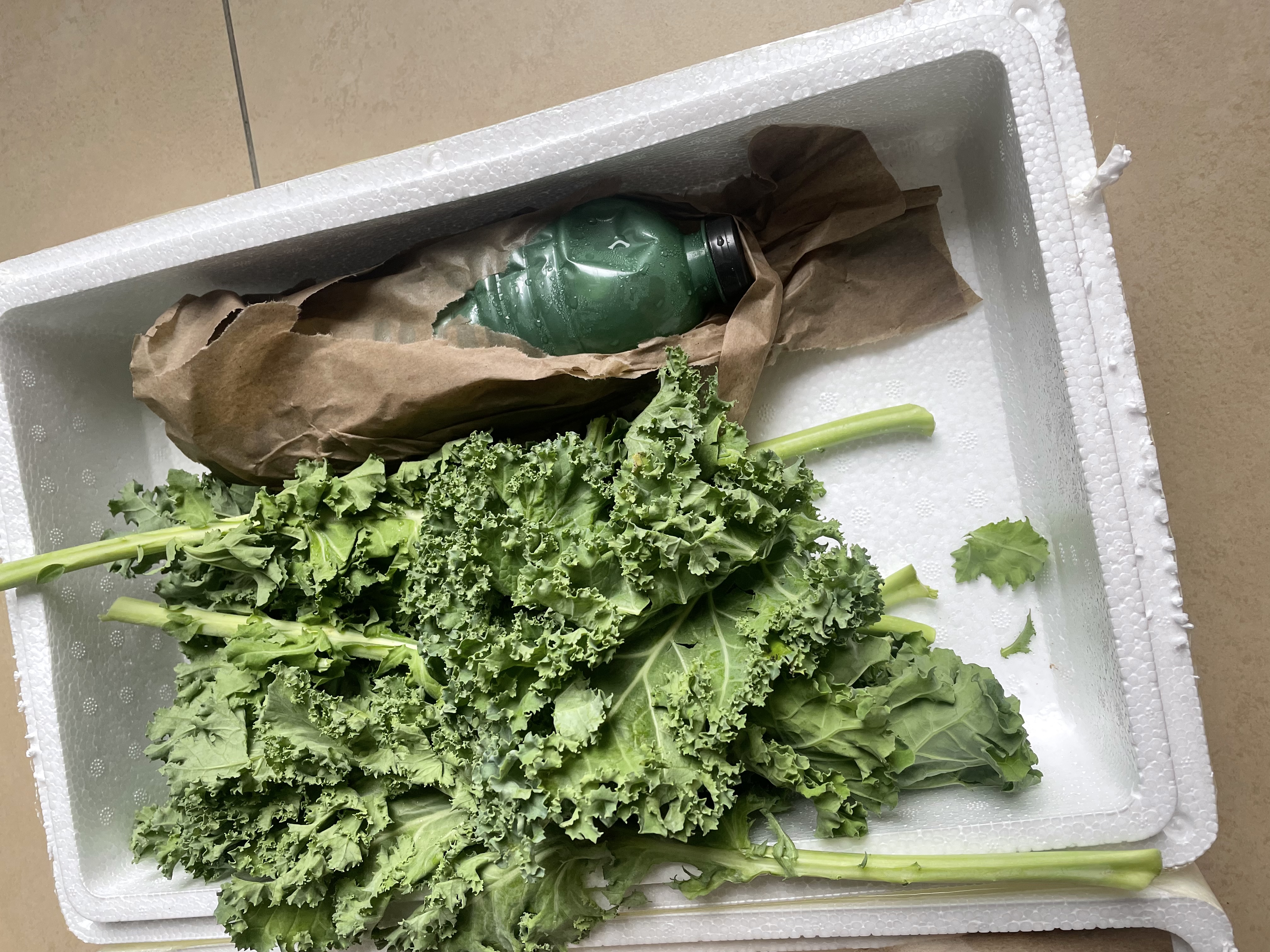 新鲜羽衣甘蓝生鲜蔬菜嫩叶云南甘兰芥蓝西餐沙拉榨汁减脂直播间 羽衣甘蓝减脂尝鲜装0.5斤 实拍图