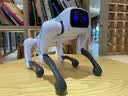 RWTW男孩玩具2025ai智能机器狗遥控机械人工电子电送男送儿童生日礼物 AI智能声控机器狗+精美礼盒 【APP操控+语音声控+智能编程+唱 实拍图