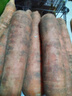 河南新鲜带泥胡萝卜农家水果萝卜应季早餐蔬菜红薯营养减脂食品 胡萝卜1斤带箱 200g+/支 实拍图