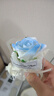 皓梵洁迷你小花束口袋花束见面520礼物手捧花鲜花玫瑰永生花小花假花 幽蓝绮梦 实拍图