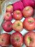 京鲜生 烟台红富士苹果 净重10斤 单果190g以上 礼盒装 生鲜水果 实拍图