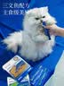 海洋之星主食猫条成猫幼猫零食湿粮三文鱼鱼油爆珠口味12g*50支 实拍图
