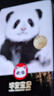 雀氏【弱酸亲肤】早安宝贝拉拉裤干爽瞬吸XXL104片婴儿尿裤尿不湿 实拍图
