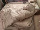 进出口重磅真丝四件套100桑蚕丝床单高级感被套双面丝绸床上用品4 香槟金【顺丰速发+会员礼盒】 1.5m 床单款 四件套-被套200*230cm 实拍图