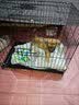 泽硕宁狗笼子大中小型犬狗窝带厕所折叠便携猫笼子超大号狗狗围栏宠物笼 黑色狗笼【加粗加固】赠厕所托盘 小型犬【8斤内】50*33*38 无毛边/无倒刺/不卡脚 实拍图