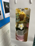柏爱向日葵永生花束生日礼物伴手礼一举夺魁金榜题名摆件母亲节情人节 实拍图