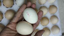 京鲜生富硒鲜鸡蛋30枚 3斤 源头直发 实拍图