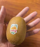 佳沛（zespri）新西兰阳光金奇异果 8个装 特大果单果重约124-146g 水果猕猴桃 实拍图