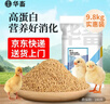 华畜通用小鸡饲料禽料雏鸡鸭子产蛋鹌鹑鸽子鸟粮碎颗粒开口料蛋鸡鸭鹅 实拍图