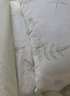 水星家纺四件套床上用品纯棉100%a类全棉透气床单被套1.8m床26年新品双人加大苔间柔光 实拍图