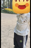 嘟嘟家儿童polo衫秋款休闲男童打底衫秋季女童上衣宝宝衣服 奶油白 90 实拍图
