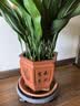 爱丽思（IRIS）加厚移动托盘花盘垫底座万向轮托盘花盆底盆托底盘 【白色】MP250 实拍图