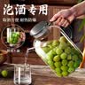 家の物语泡酒玻璃瓶家用酒坛酒罐泡酒专用高档密封杨梅果酒酿酒容器 实拍图