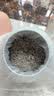 神农金康张家界长寿村芽尖莓茶550g特级野生三月新茶高搭湖南永顺莓茶 实拍图