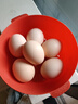 山林谷物鲜鸡蛋50g正负5g天然营养新鲜柴鸡蛋月子蛋早餐买菜 6枚 50g 实拍图