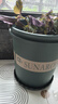 墨斗鱼花盆加仑盆加厚高款3加仑*2多肉绿萝月季盆栽树脂塑料简约带托盘 实拍图