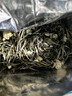 周顺来特级茉莉花茶新茶浓香型茉莉金丝飘雪茶叶500g茉莉绿茶 茉莉兰雪125g*2罐 实拍图