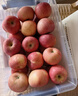 京鲜生 烟台红富士苹果 8粒装 单果160-190g 生鲜水果 实拍图