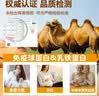 牧诗伦新疆正品骆驼奶粉500g*2罐益生菌驼乳粉无蔗糖中老年儿童成人礼盒 实拍图