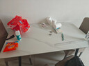曼丘岩板餐桌家用轻奢现代简约小户型饭桌客厅长方形大理石餐桌椅组合 哑光白12mm（单桌） 120cm *宽60cm 实拍图