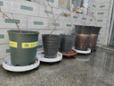德沃多加仑盆7号含花托园艺绿植盆栽种植盆种菜盆花卉多肉塑料阳台花盆 实拍图