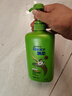 飘柔蓬松洗发水去油男士女士日常护理家庭装绿茶精华洗发露膏750g 实拍图