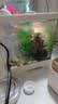 松宝鱼缸过滤器三合一潜水增氧泵水族箱内置过滤净水氧气泵循环抽水泵 WP-750F 3.5瓦【适用30以下鱼缸】 实拍图