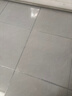嘉宝莉瓷砖美缝剂 耐水抗菌防霉防水瓷缝剂美缝胶填缝剂勾缝剂贵族银 实拍图