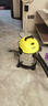 KARCHER德国卡赫 桶式吸尘器18L干湿吹三用家用工业开荒装修保洁地毯宠物大容量大功率超强大吸力WD1s 实拍图