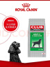 皇家狗粮 成犬粮 通用犬型 CC通用狗粮12月以上 3KG【成犬通用】 实拍图