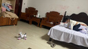 JJRC儿童早教声控智能ai机器狗玩具男孩1-3岁宝宝2-6岁小孩仿生机器人 少女粉N3【遥控+手控+声控模式】 送两岁二到三岁2孩子生日礼物 实拍图