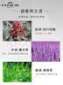 蔻驰（COACH）无尽之路男士淡香水100ml木质香生日礼物送男朋友持久留香 实拍图