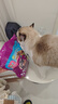伟嘉幼猫猫粮夹心粮 全价粮1.2kg海洋鱼味 布偶蓝猫橘猫英短猫咪 实拍图