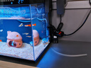 米家智能生态鱼缸定时喂食智能鱼缸+画法几何增氧泵套装 实拍图