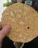 天下第一村山东周村特产烧饼礼盒80g*10包酥饼糕茶点芝麻饼伴手礼送礼礼品 实拍图
