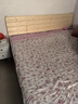 单人床实木床1.2米1.5米双人床架出租房屋卧室简易木头硬板小床 【透气款】实木床+床垫-40cm高 宽1500mm*长2000mm 实拍图