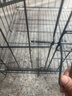 憨憨宠 狗笼猫笼 狗笼子小型犬带厕所幼犬折叠便携猫笼子宠物笼具兔笼 黑色 侧出盘狗丝笼 60*42*50cm 实拍图
